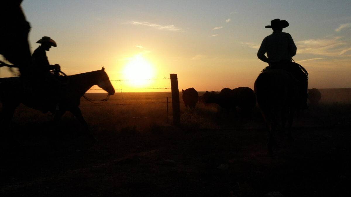 Workers on horseback at Foote Ranch