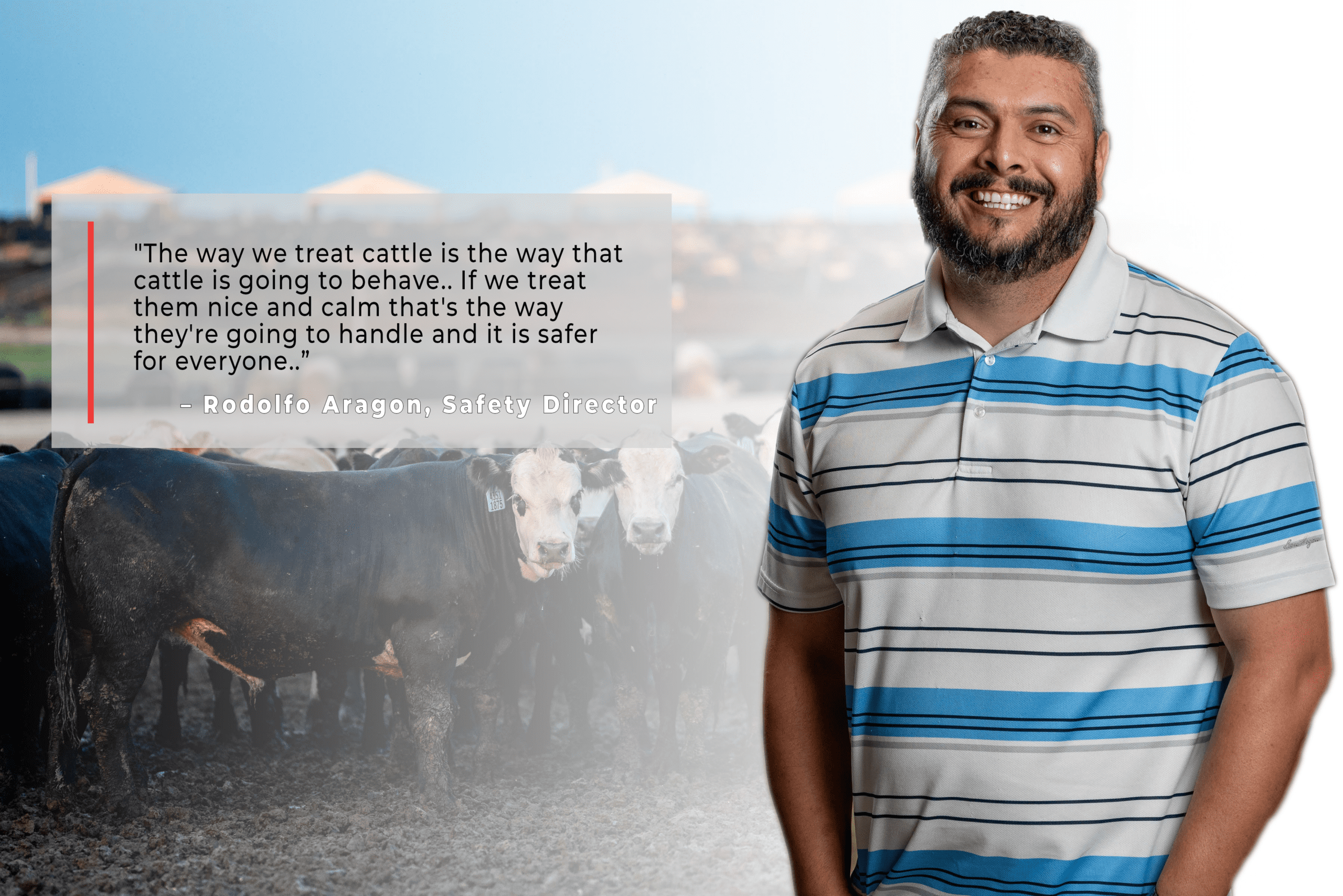 "The way we treat cattle is the way that cattle is going to behave.. If we treat them nice and calm that's the way they're going to handle and it is safer for everyone..”