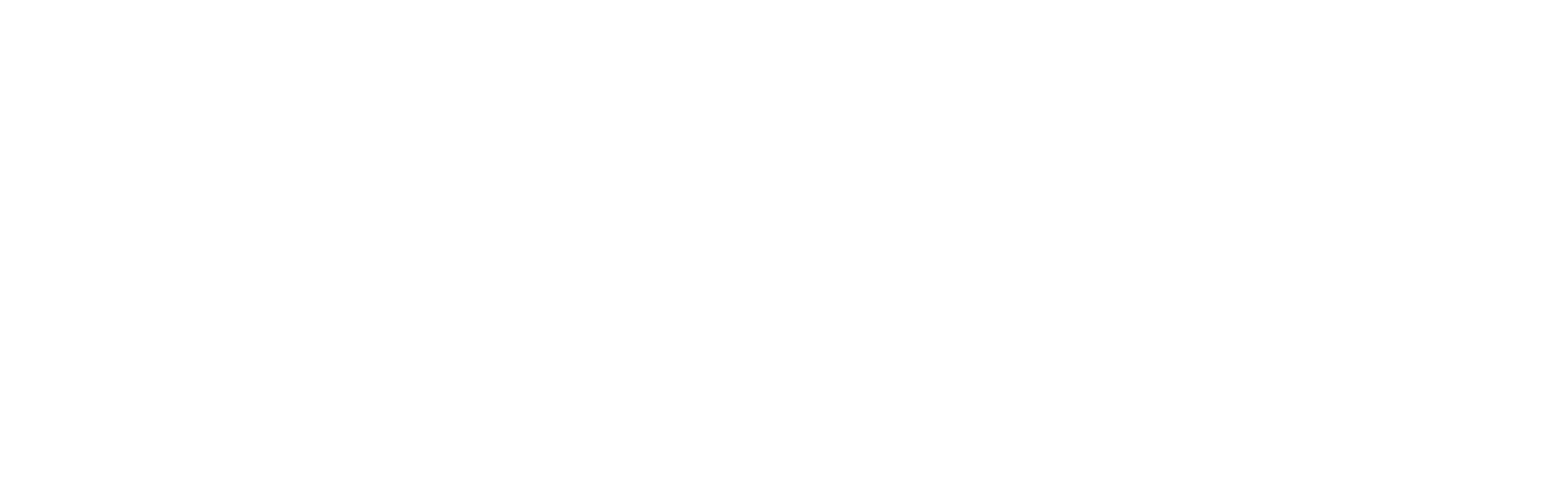 Foote Cattle Company Logo