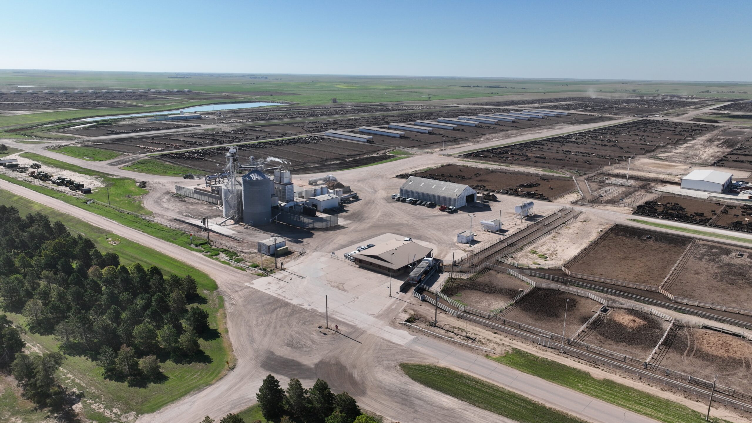 Nutrition Big Picture Pioneer Feedyard near Oakley KS