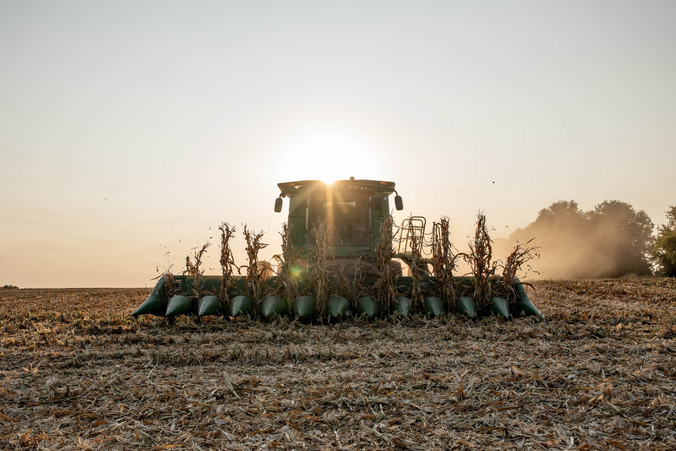 Sunset Tractor Harvest A tractor mows down the last stalks of a field at sunset.